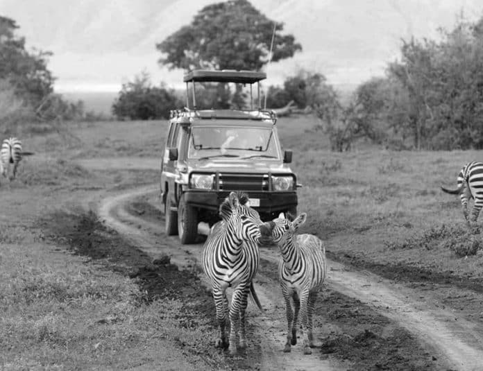 Exploring the Wonders of Tanzania A Journey through the Four Seasons of Africa