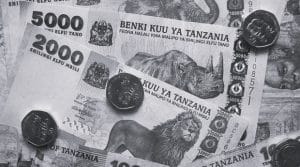 Tanzanian Old Currency Features