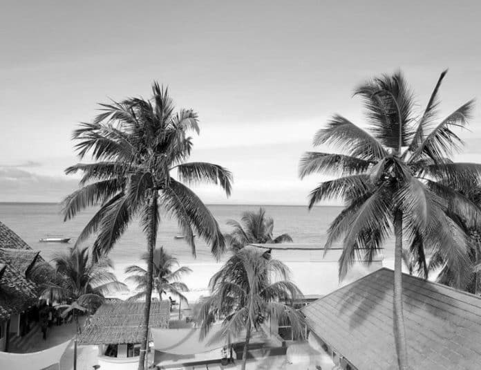 From Pristine Beaches to Vibrant Culture Embrace the Magic of the Zanzibar Archipelago's Islands in Tanzania