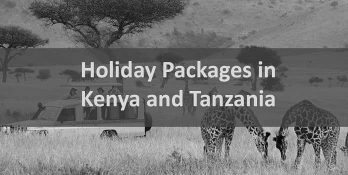From the Serengeti to the Maasai Mara - Discovering the Best Holiday Packages in Kenya and Tanzania