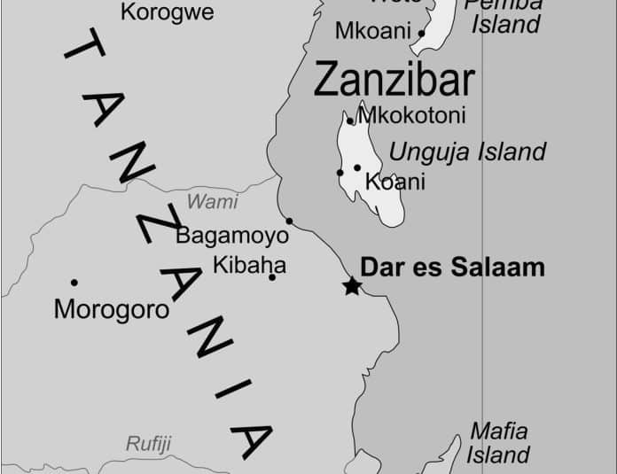 Going to Tanzania and Zanzibar Here Are The Best Times to Do It