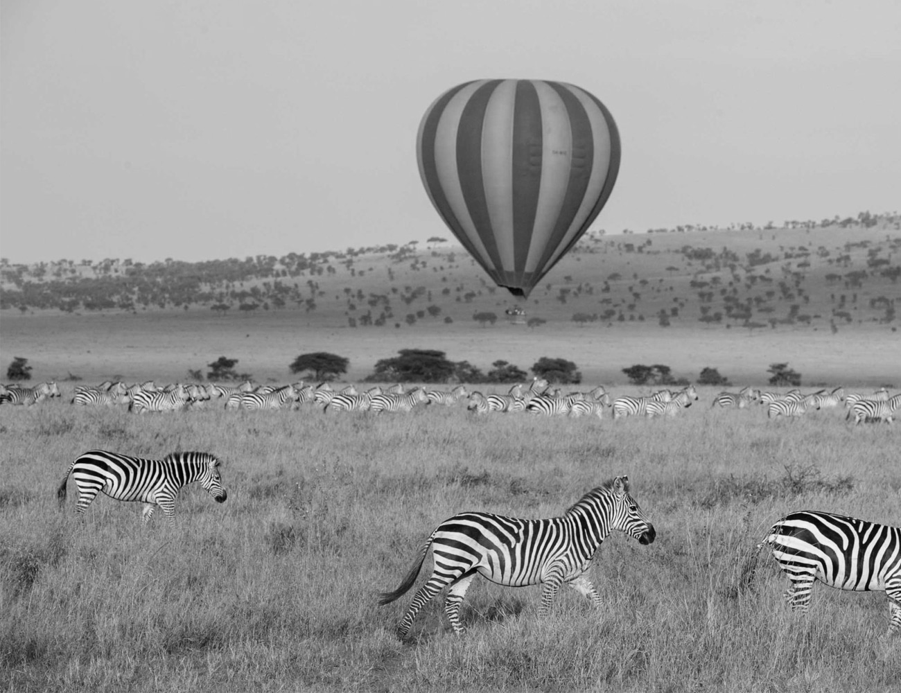 Hot Air Balloon Over a Safari in Tanzania