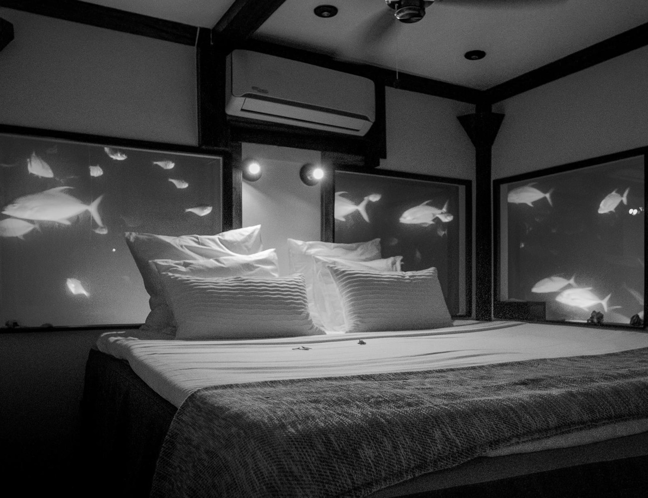 Inside the Underwater Rooms of Manta Resort