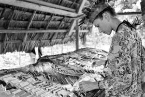 Jambo Spice Farm Zanzibar City