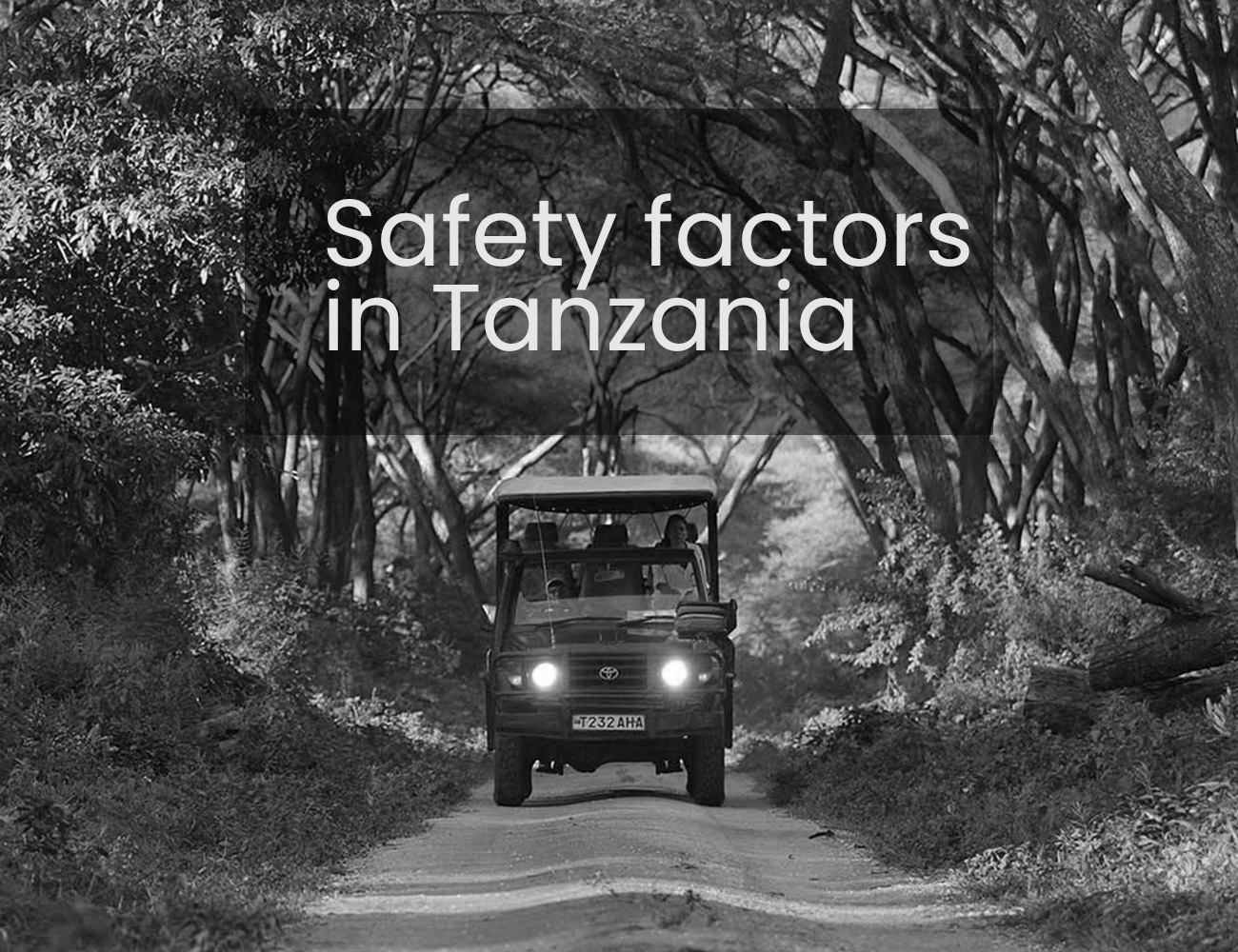 Jeep Moving Through a Tanzanian Safari