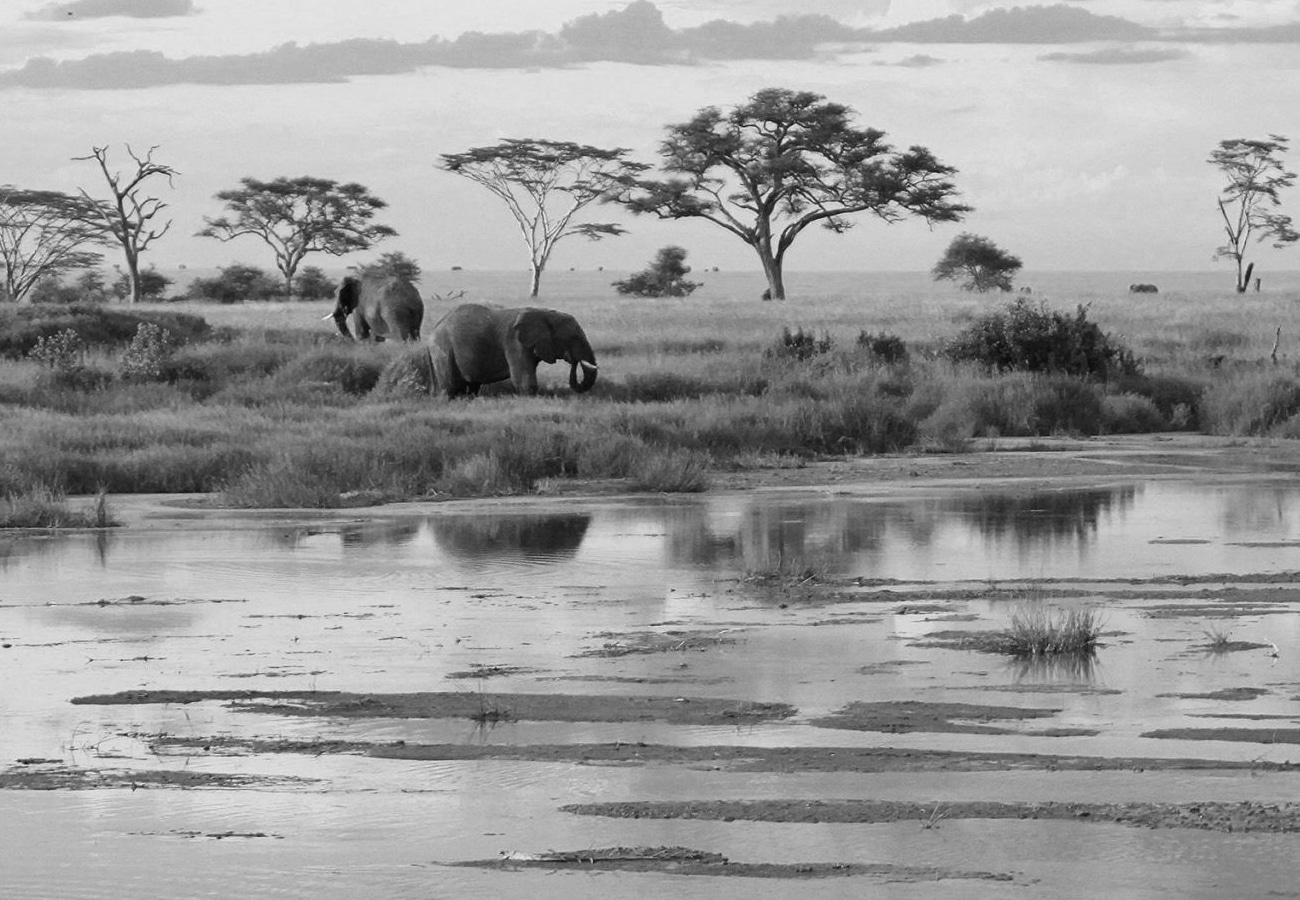 Landscapes of the Serengeti National Park