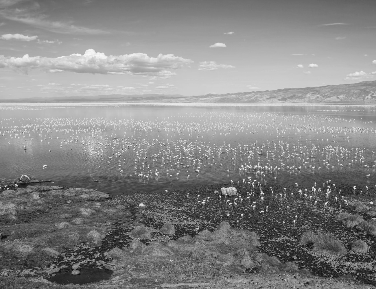 Lanscape of Lake Natron