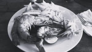 Grilled-Shrimps