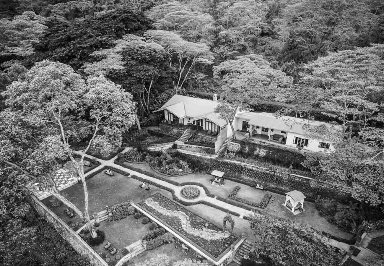 Lush Greenery at Gibb's Farm