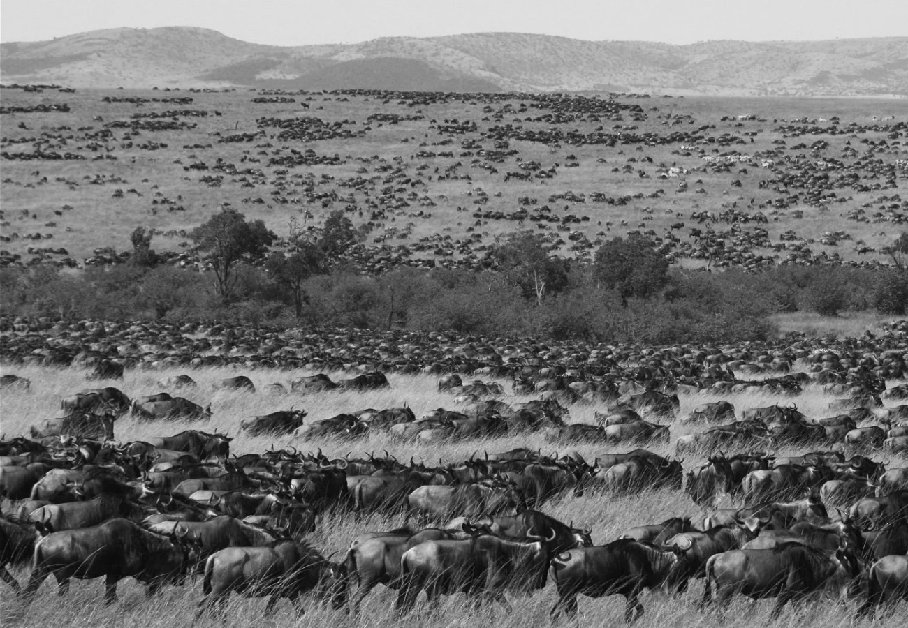 Maasai Mara National Reserve