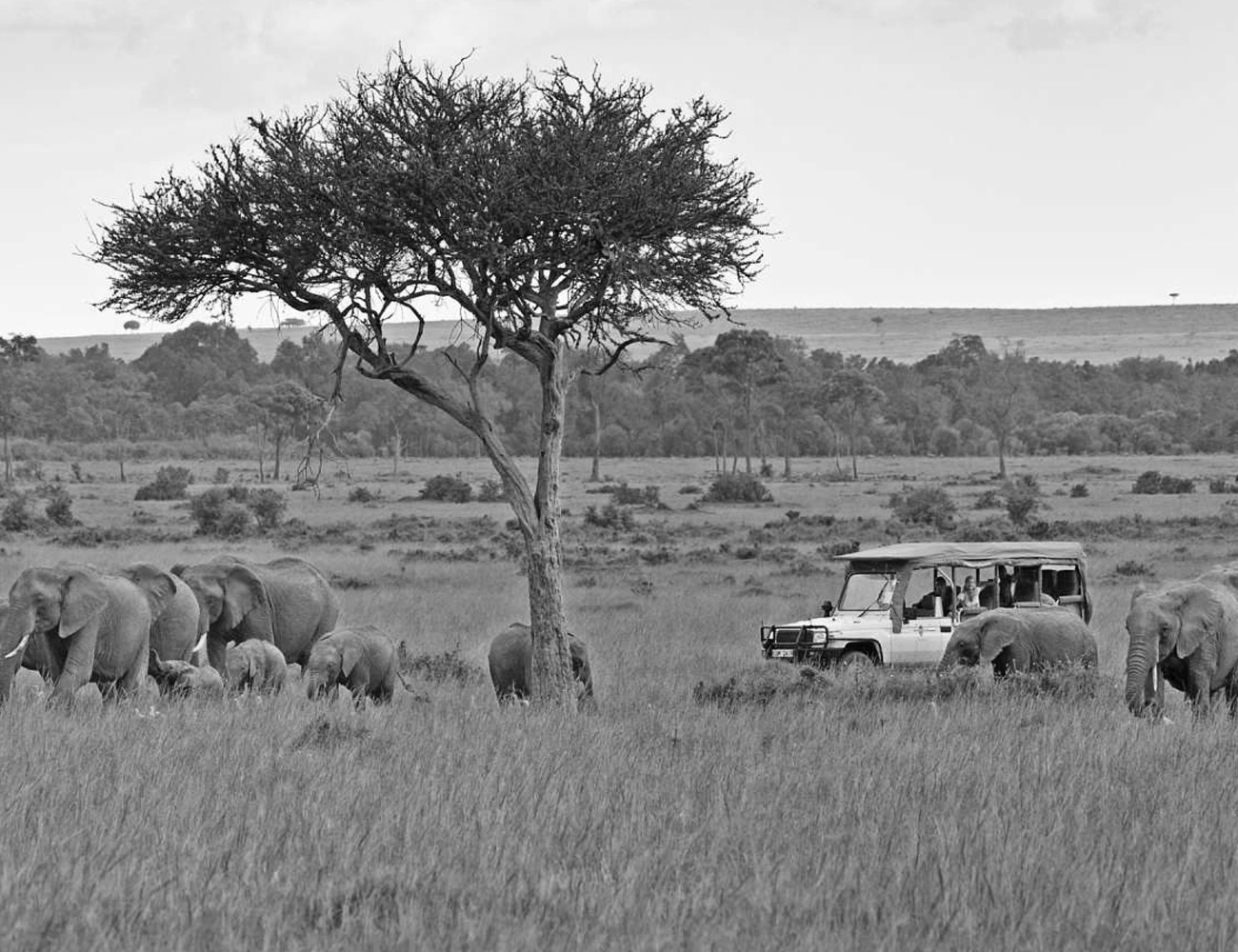Maasai Mara Reserve Tours