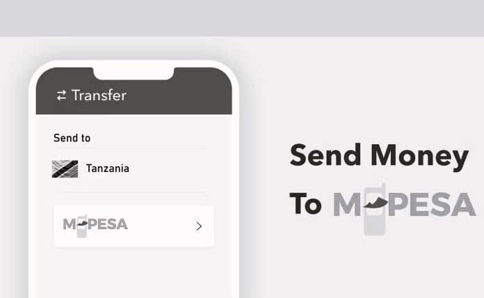 Mastering Mobile Money A Quick and Easy Method to Send M-Pesa from Kenya to Tanzania