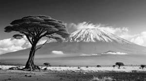 Mount Kilimanjaro Tanzania