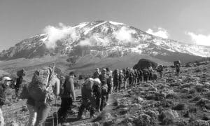 Tourists from different countries climbing Mt Kilimanjaro