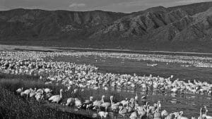 Ngorongoro Conservation Area