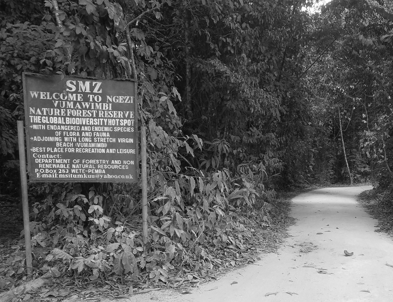Ngezi Forest Reserve in Pemba Island