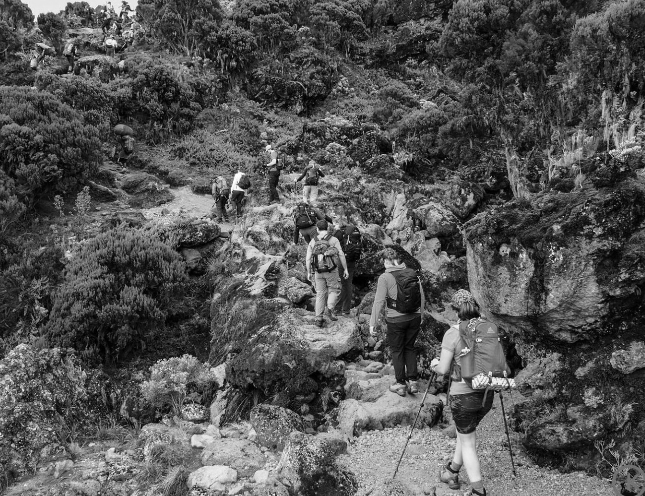 People Climbing Mount Kilimanjaro with Essential Equipements