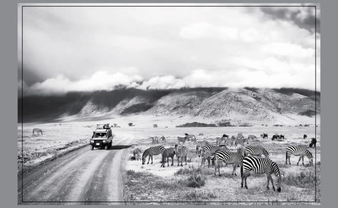 Road Trip Safari: Discovering the Best of Tanzania’s Wildlife and Scenic Routes in Africa