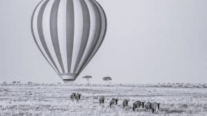 Masai Mara Baloon Safari