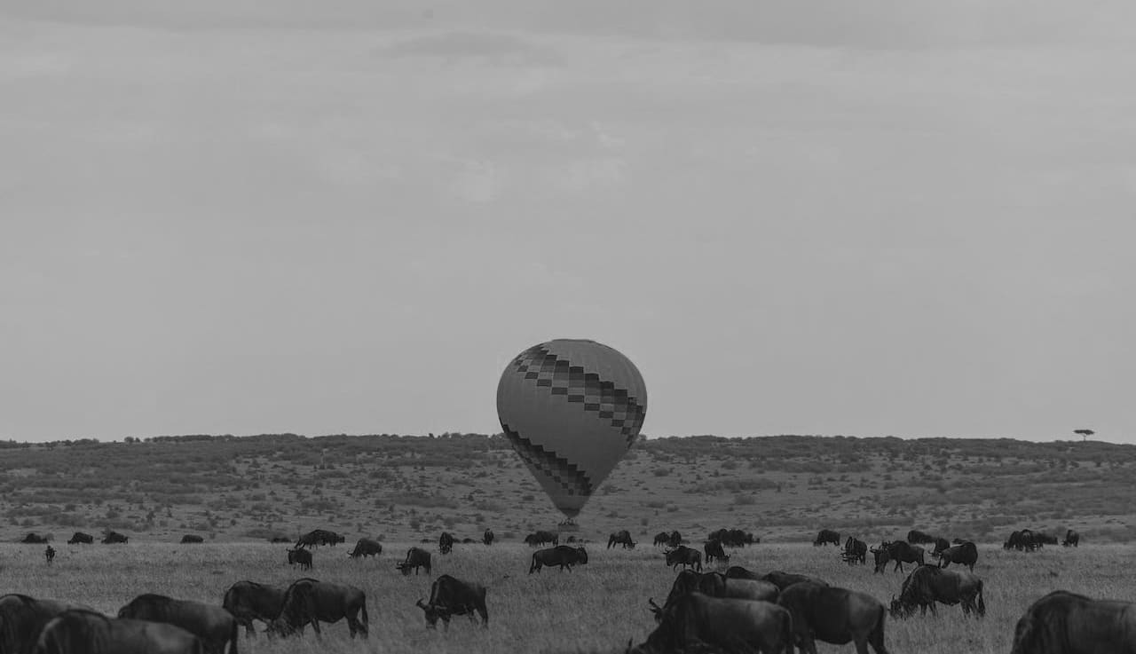 Serengeti National Park