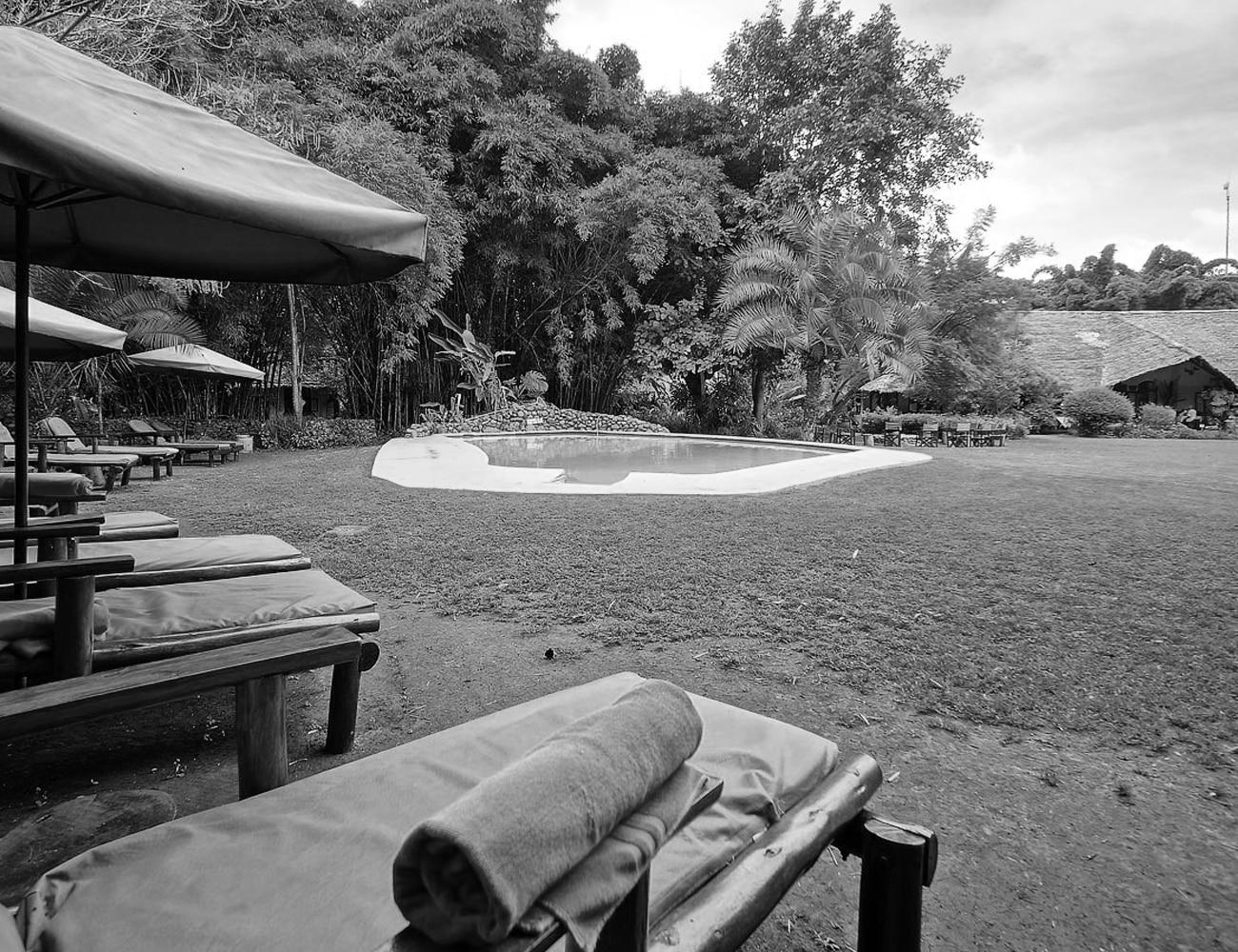 Surroundings of Moivaro Coffee Plantation Lodge