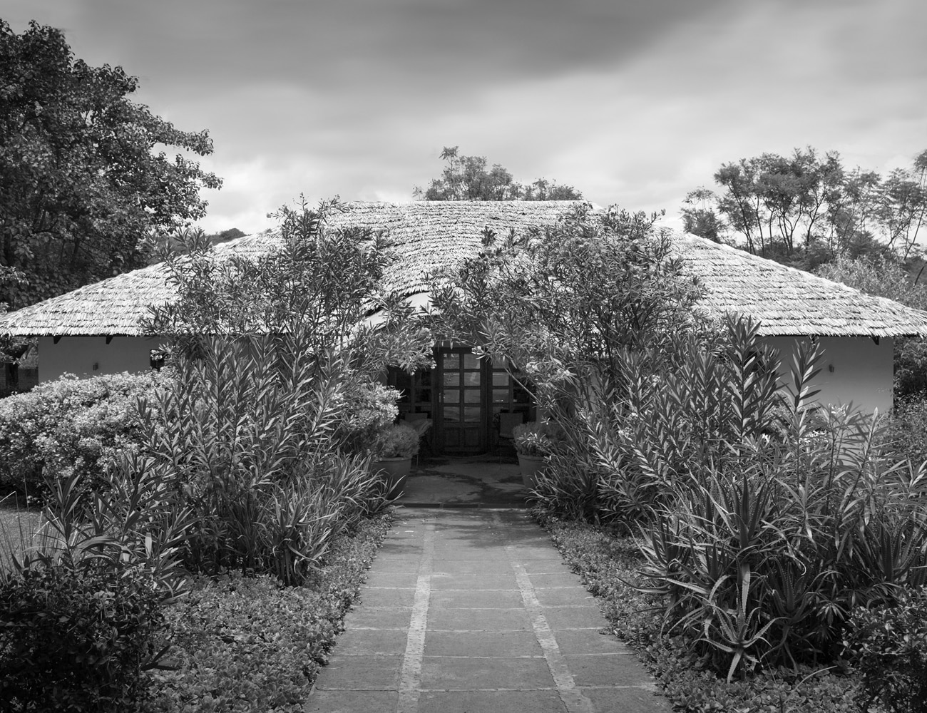 Surroundings of Plantation Lodge, Tanzania