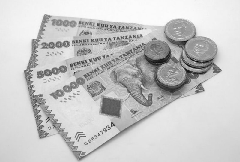 Tanzanian Shilling notes