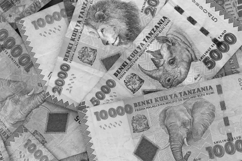 Tanzanian currency
