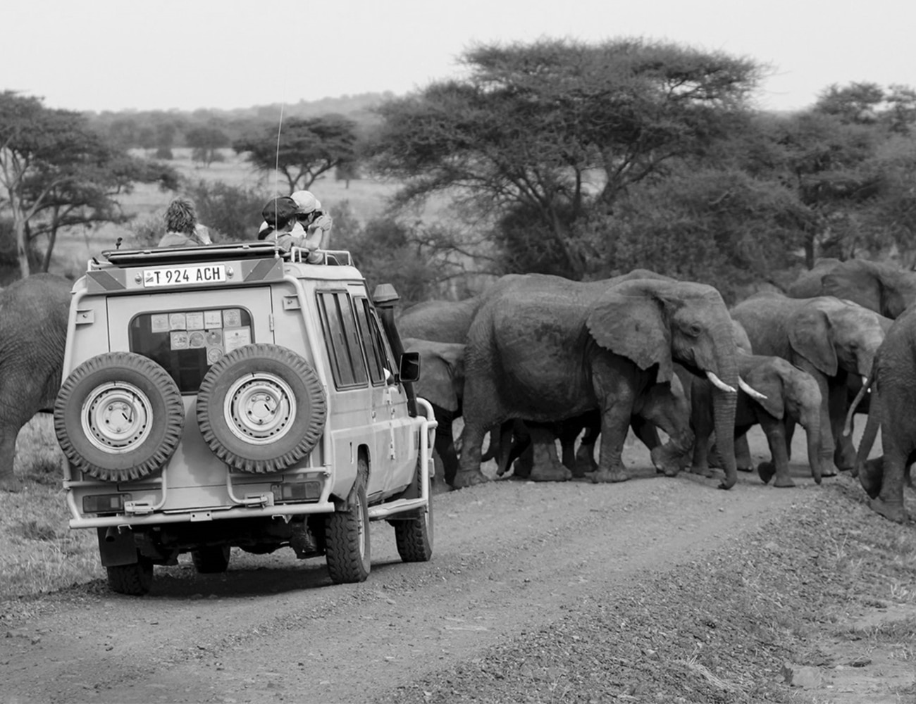 Tauck Tour Bus at the Serengeti