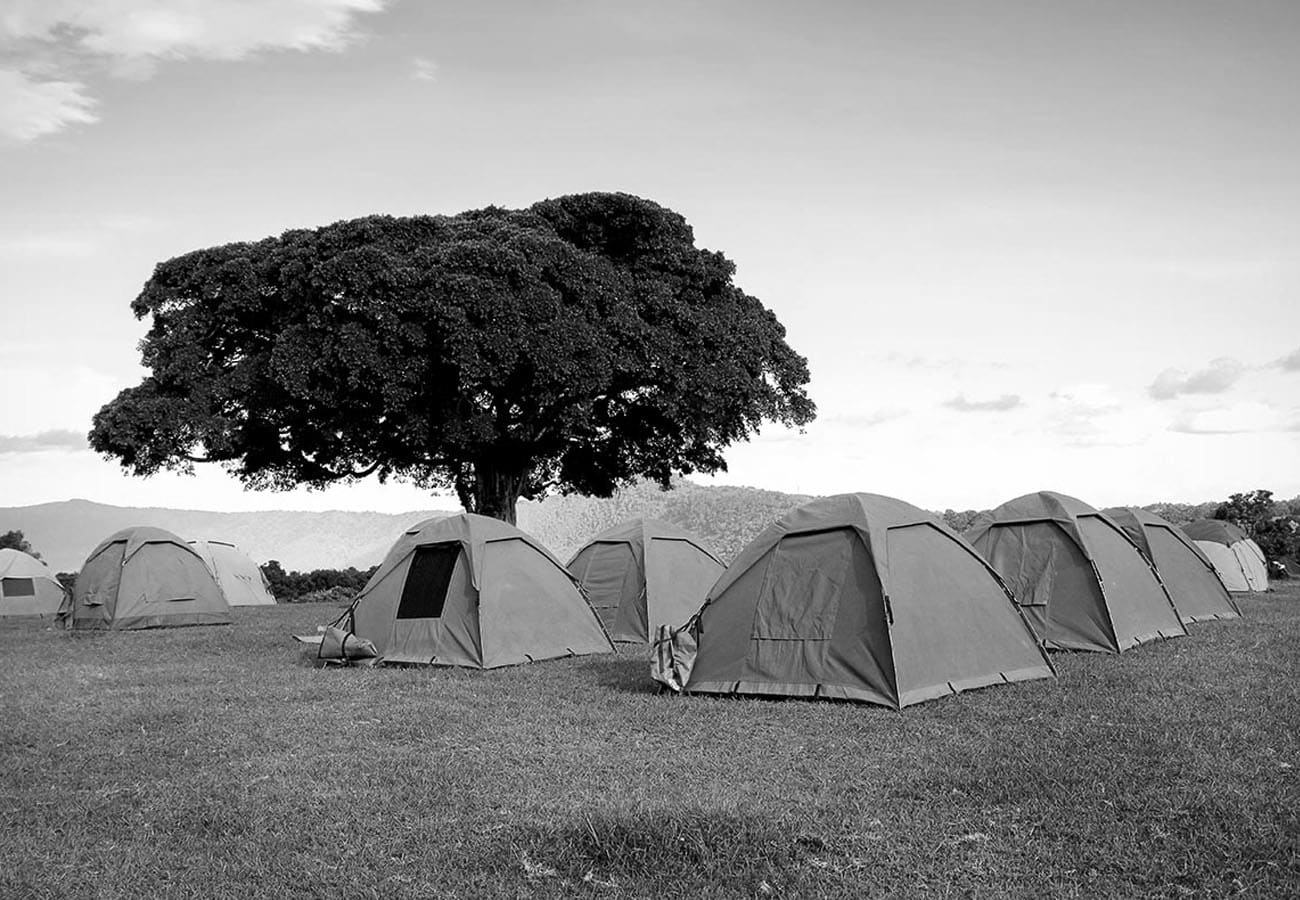 Tents at the Seronera Campsite in the Serengeti