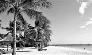 Zanzibar’s Beach