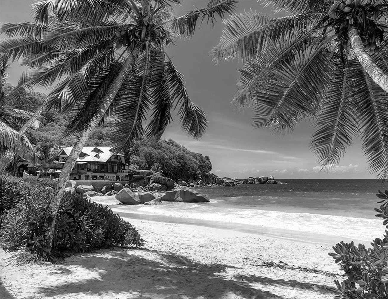 The Pristine Beaches of Zanzibar