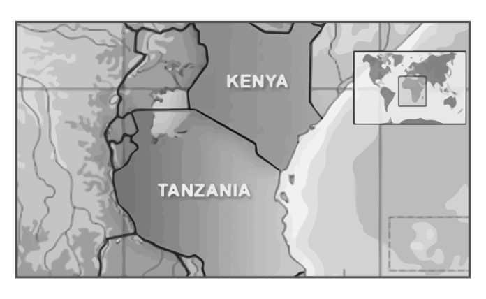 Tourism Clash Exploring the Kenya vs Tanzania War for Safari Supremacy