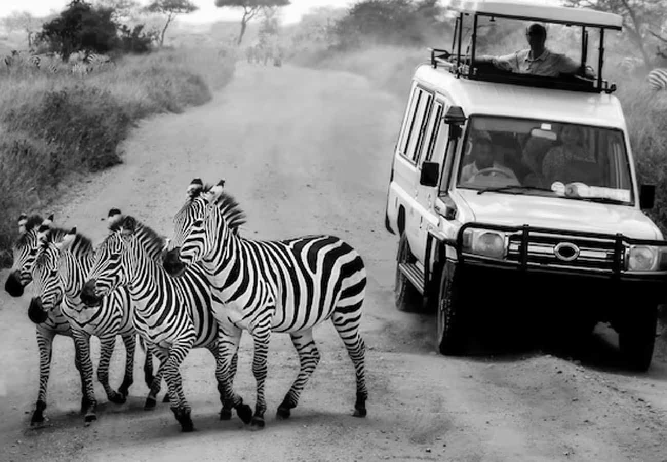 Tourists at the Serengeti National Park
