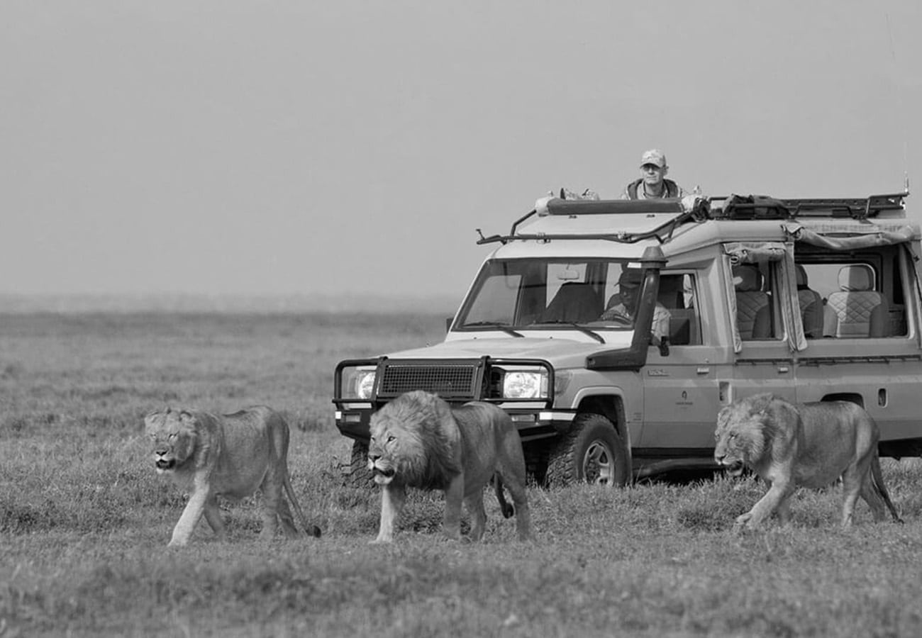 Tours at the Serengeti National Park