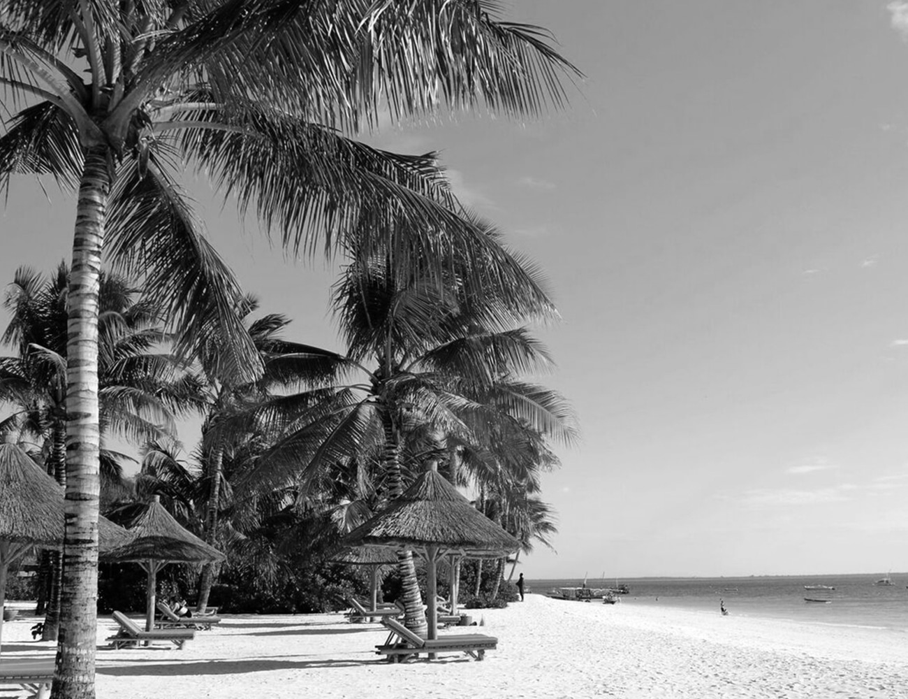 Tropical Beaches in Zanzibar