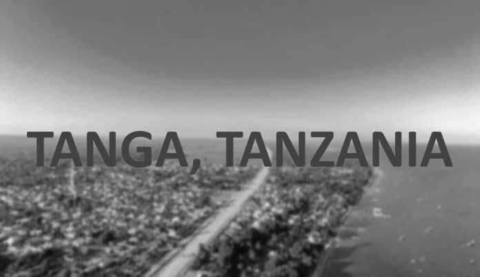 Uncovering the Hidden Gems - The Best Hotels in Tanga, Tanzania