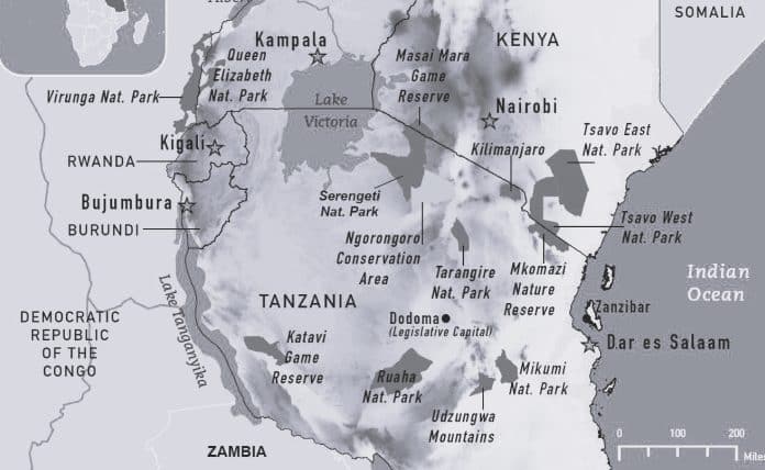 Unravel the Safari Secrets Navigating the Spectacular National Parks of Kenya and Tanzania