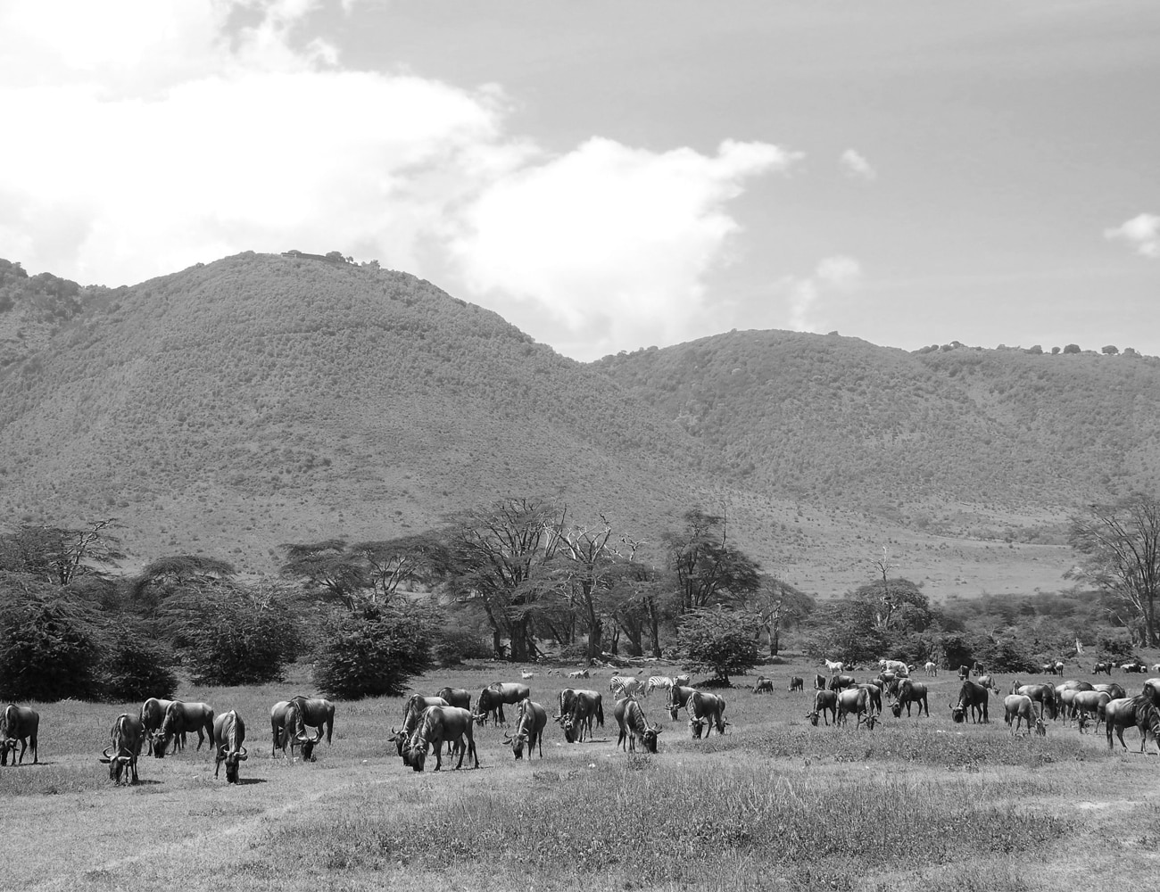 Vast Landscapes of Arusha National Park