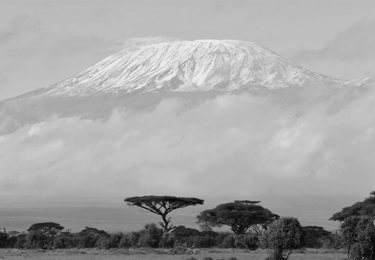 View of Mount Kilimanjaro