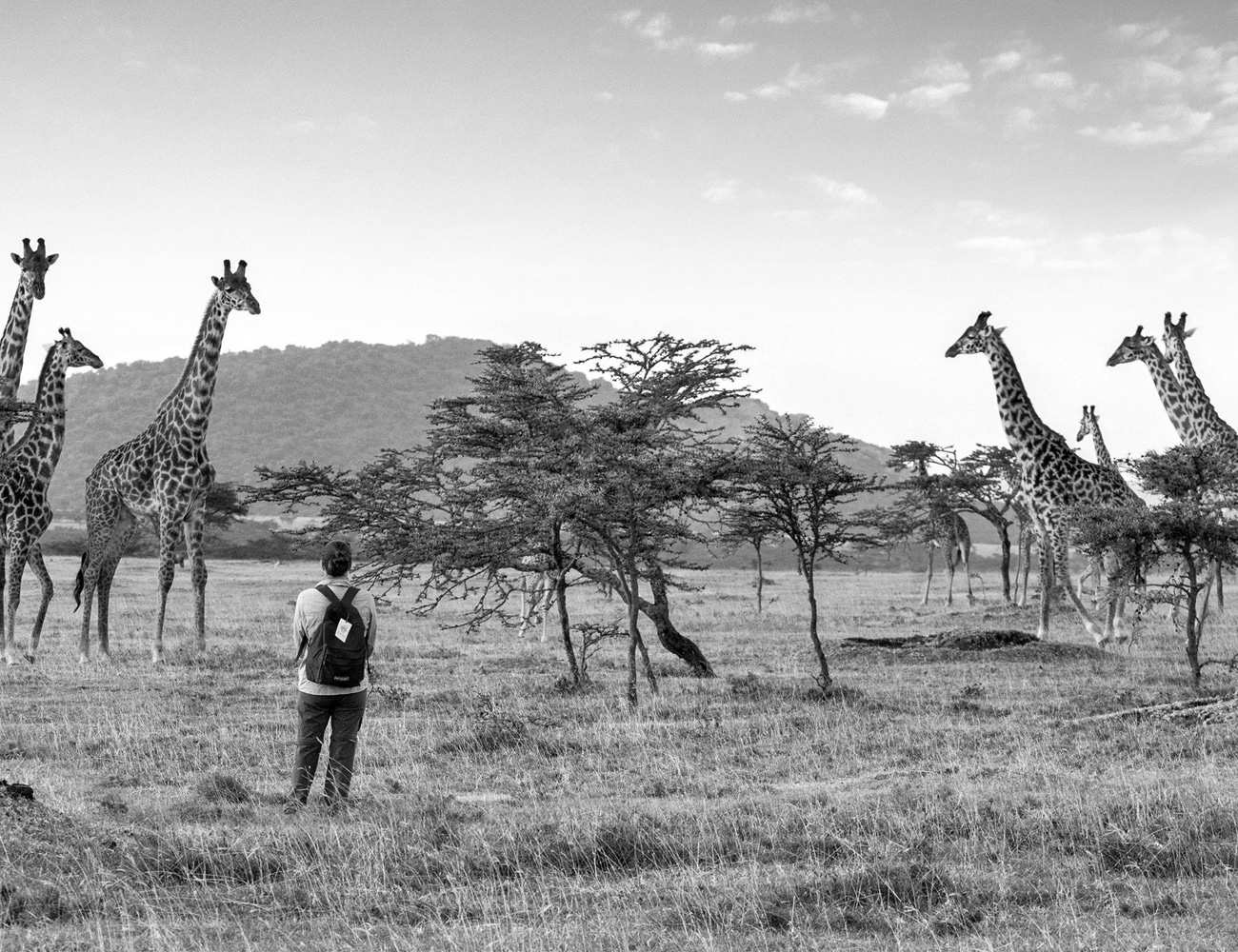 Walking Safaris in Tanzania