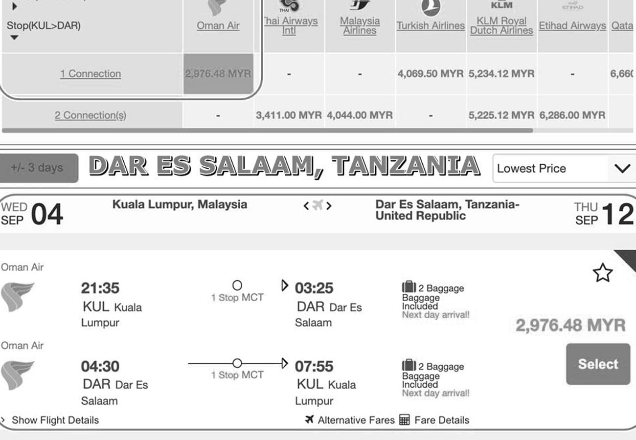 Website of a booked Flight to Tanzania