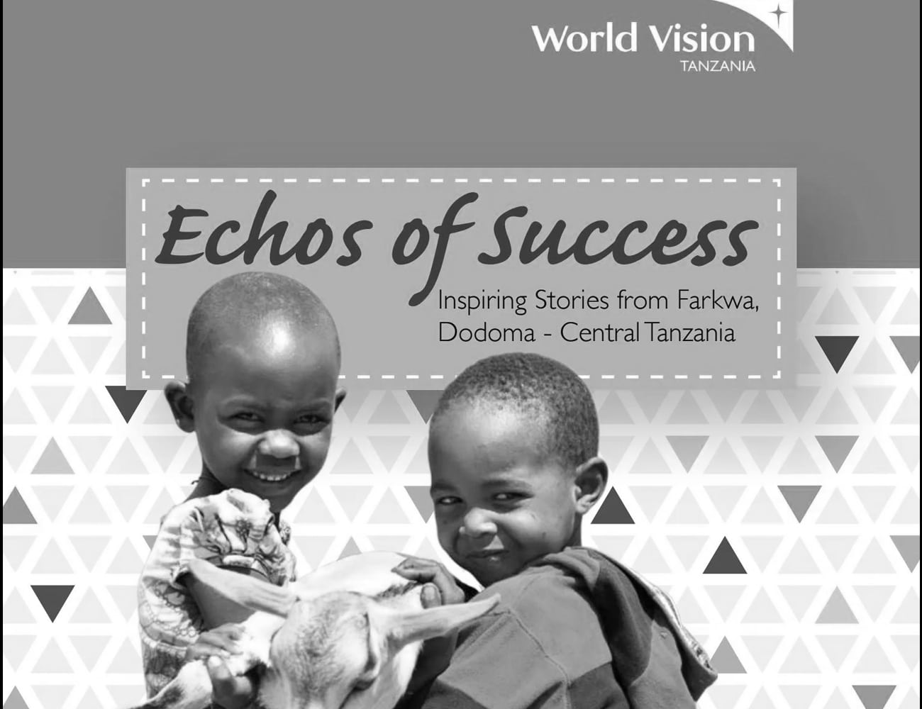A Poster of One of World Vision Initiatives