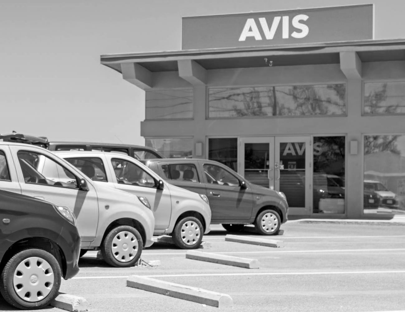 Avis Car Rental Company