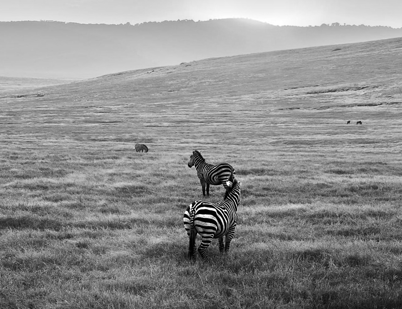 Beautiful Landscapes of Serengeti National Park