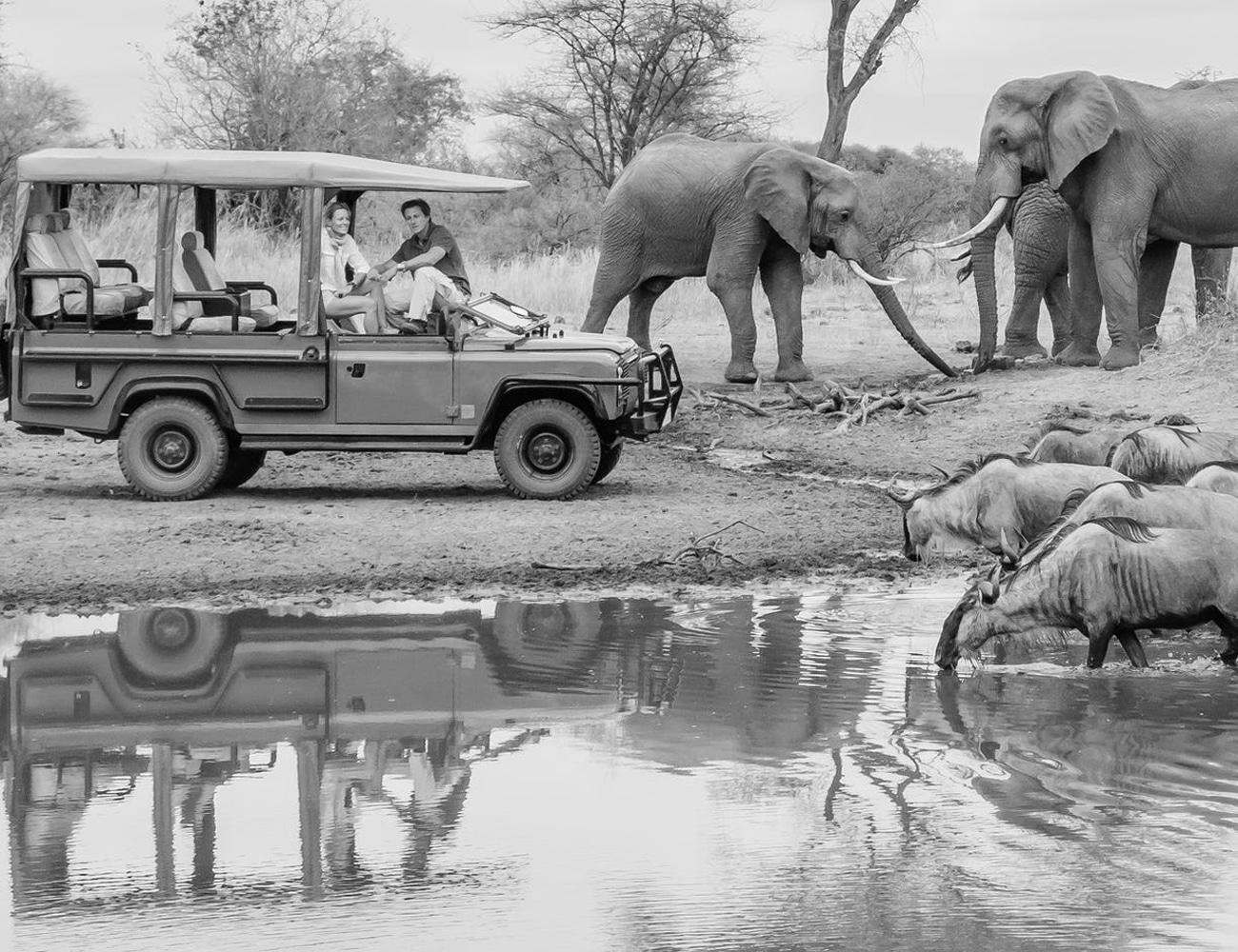 Elephants at Manyara National Park