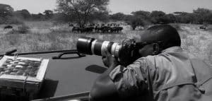 Wildlife Photography at Serengeti National park