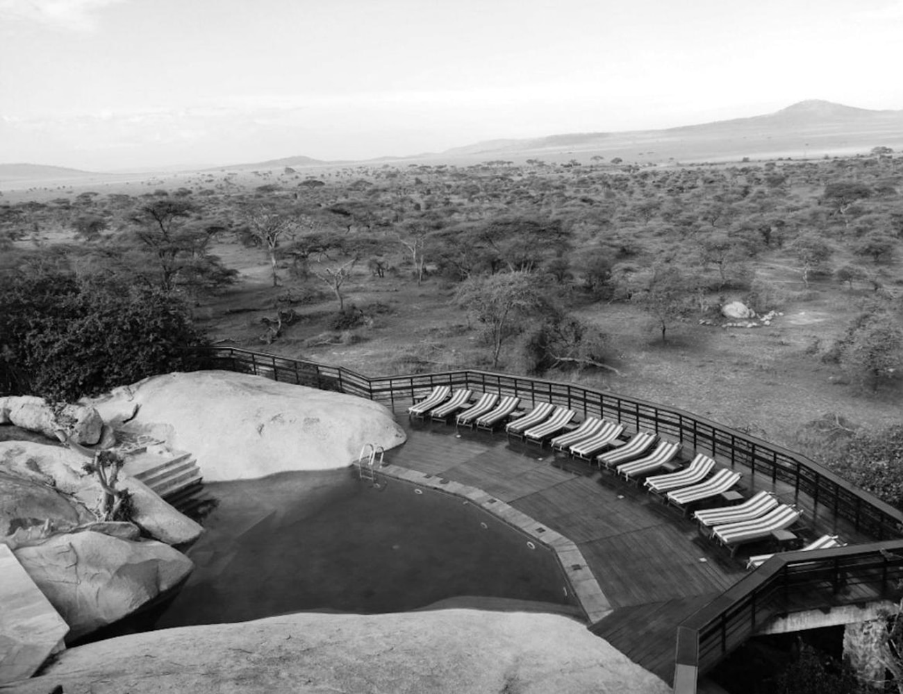 Lounge and Pool Area at Seronera Lodge