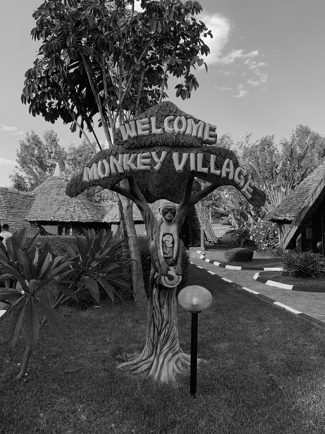 Monkey Village Attraction at Farm of Dreams Lodge
