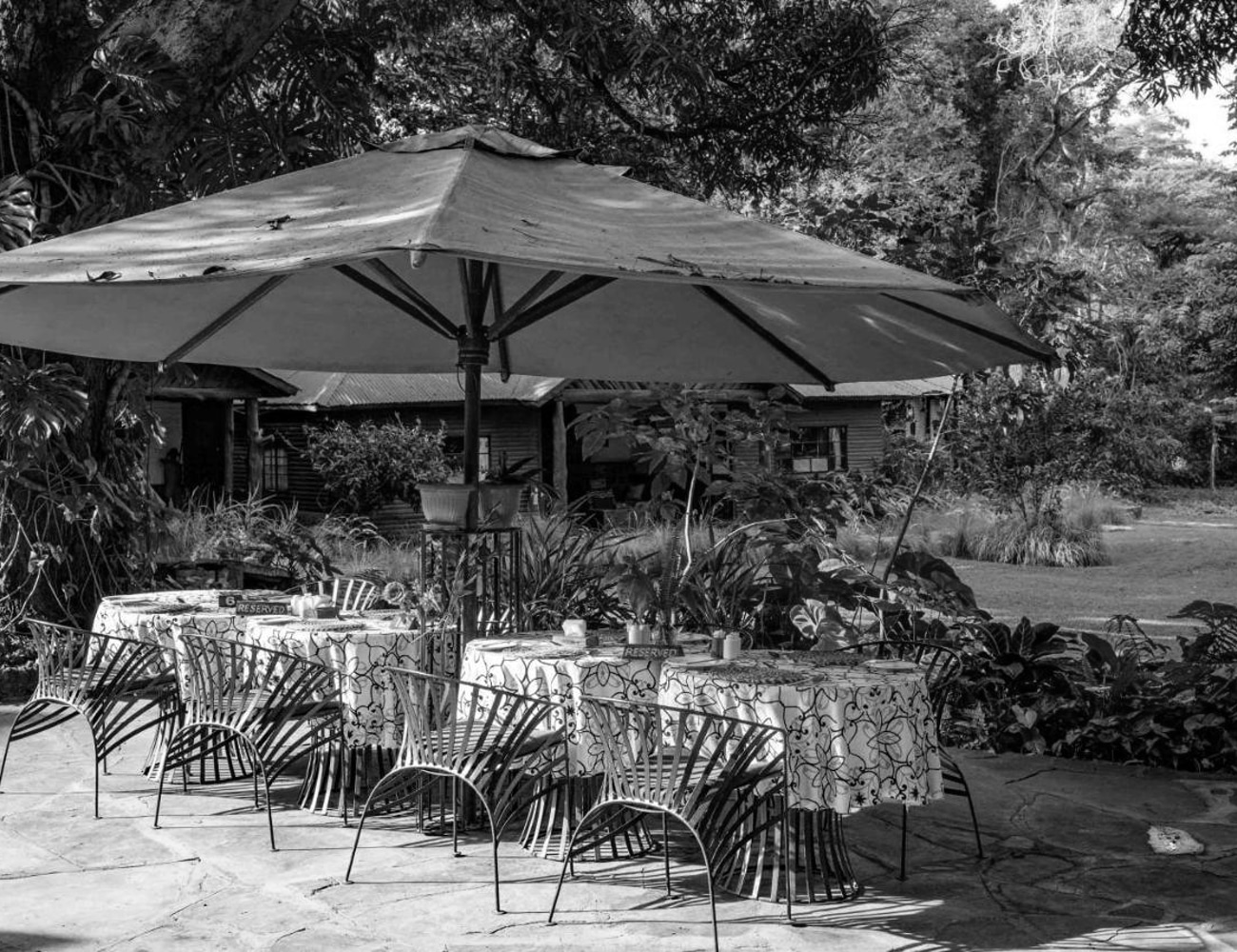 Outdoor Dining at Mount Meru Game Lodge